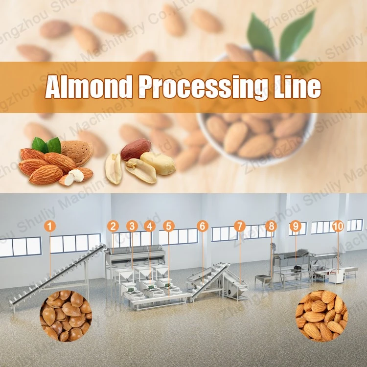 almond processing machine almond processing machine