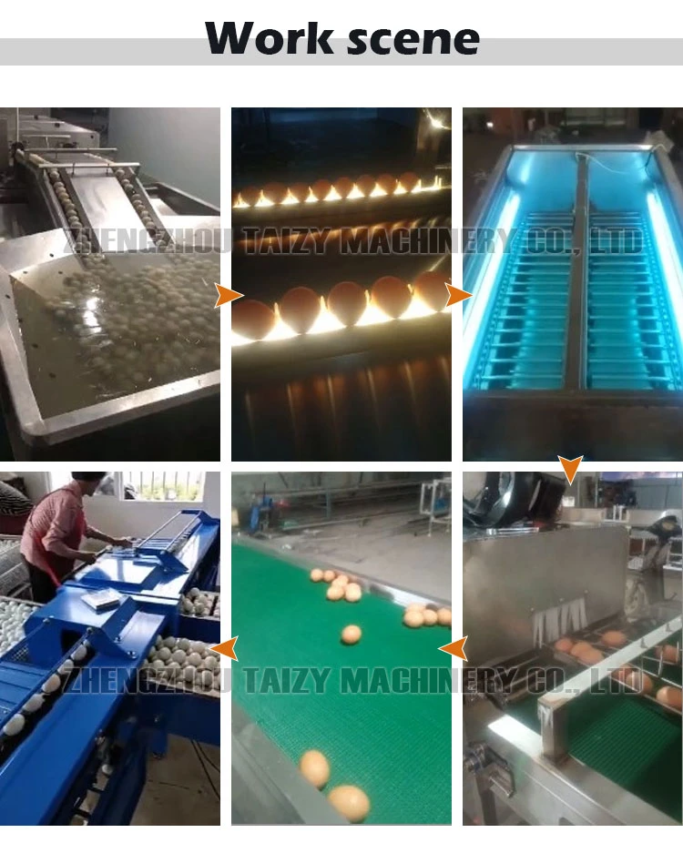chicken egg cleaner machine chicken egg cleaner machine