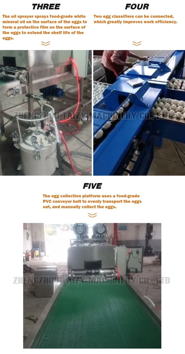 egg washer machine