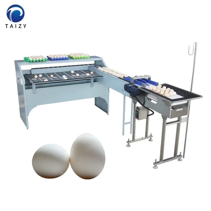 chicken egg grader