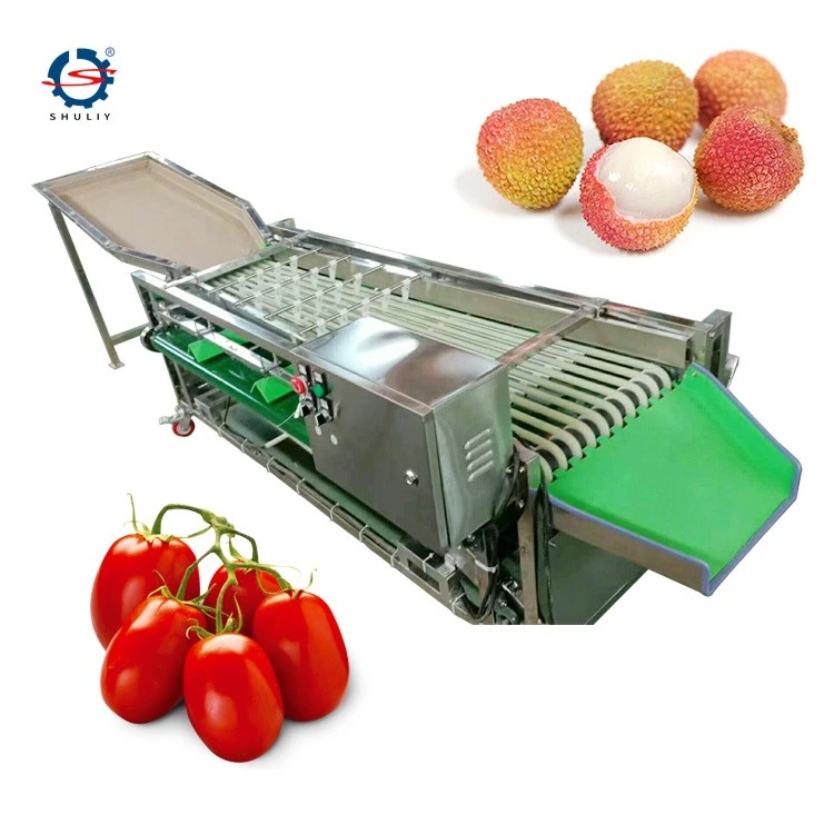 Automatic Fruit Sorting And Grading Machine