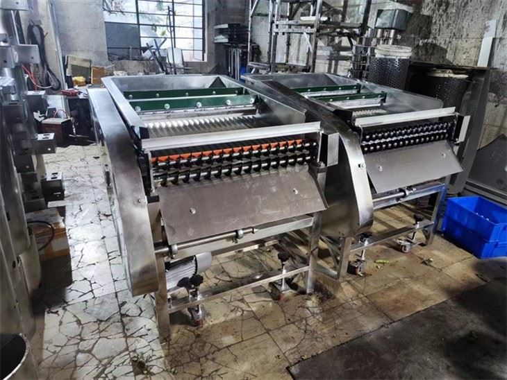 Edamame Shelling Machine (2)