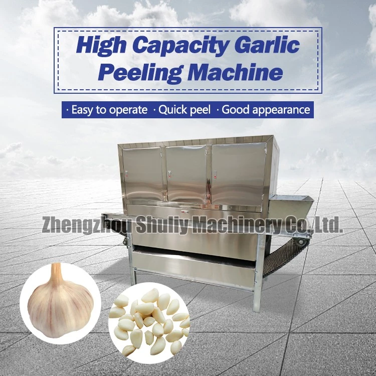 Automatic garlic peeling machine1