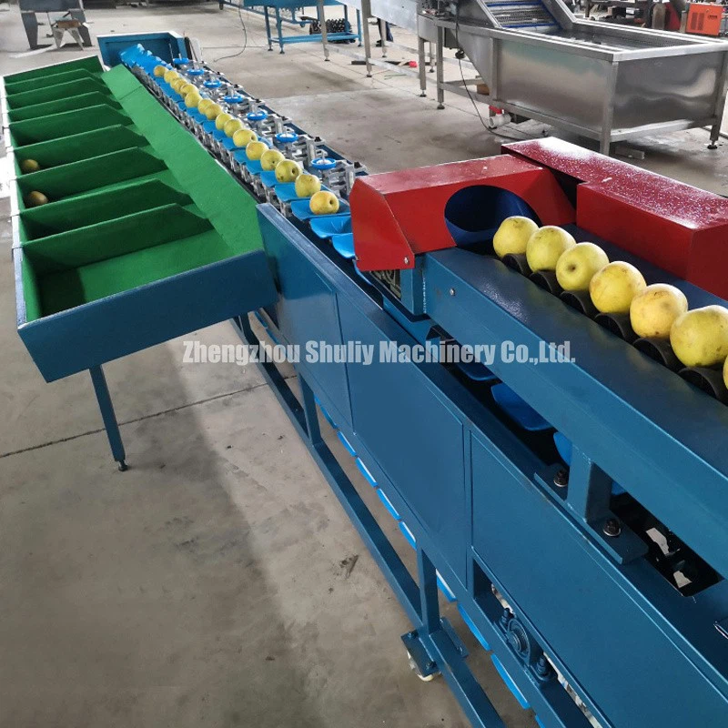 Fruit Grading Equipment